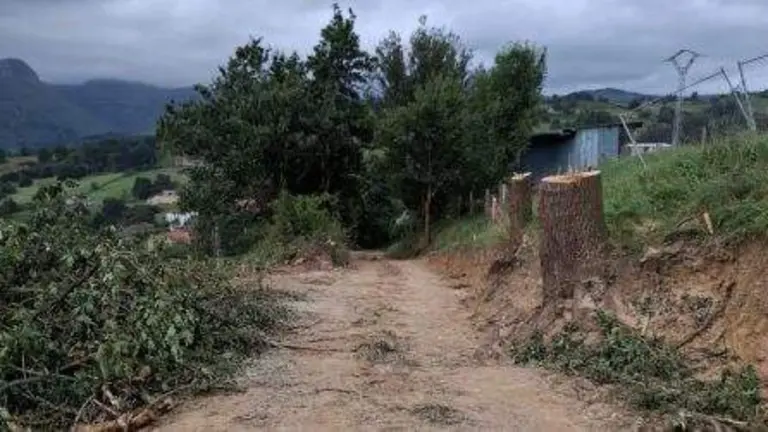 Obras del vial de Li&eacute;rganes.