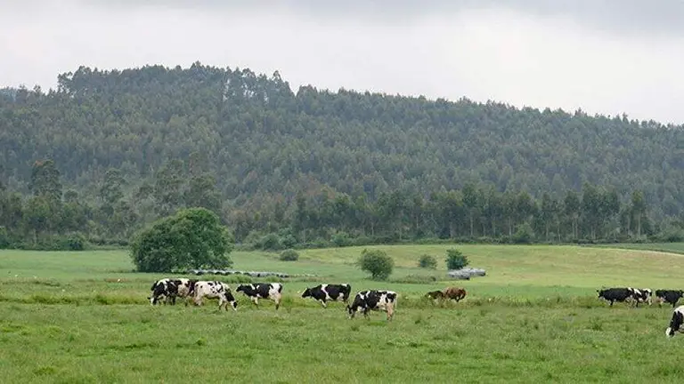 El documento dispone de una zona