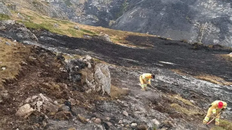 Bomberos forestales en el monte.