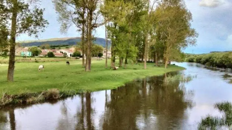 Requejo en Campoo de Enmedio. R.A.