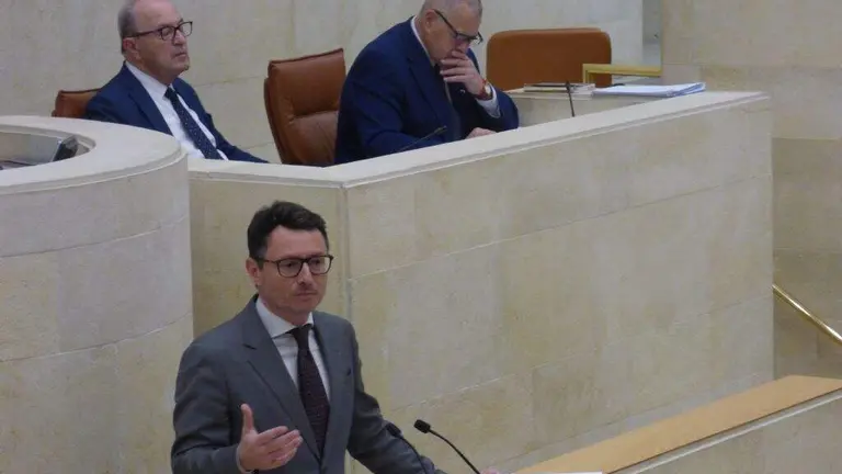 El diputado regional del PP, Alejandro Liz. R.A.