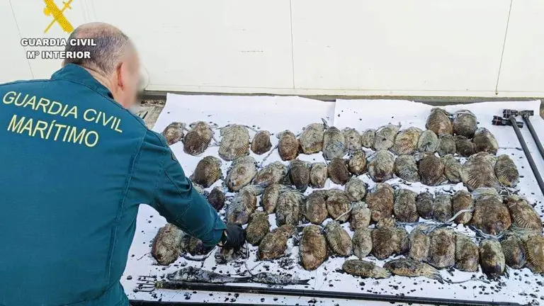 Los cachones intervenidos.