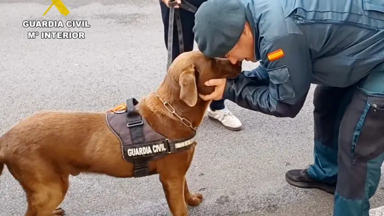 Adopci&oacute;n de Max.