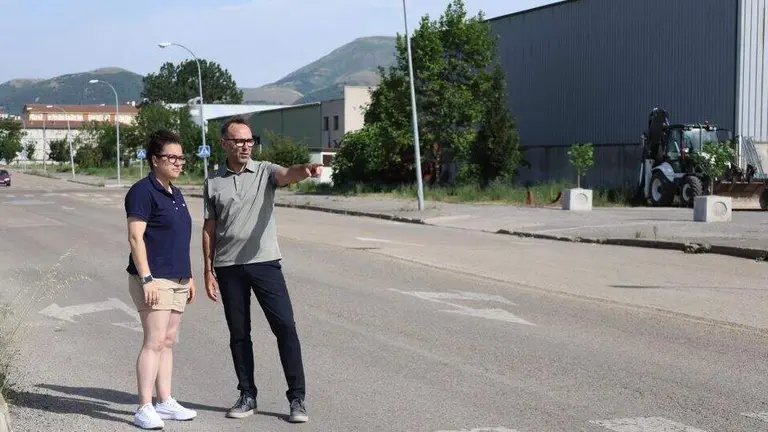 Zona del pol&iacute;gono industrial de La Vega.