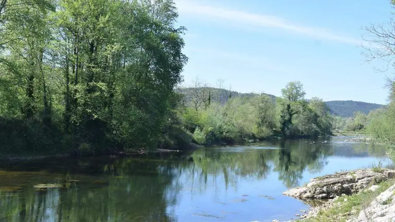 El r&iacute;o Pas a su paso por Pi&eacute;lagos.