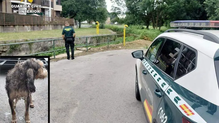 La Guardia Civil rescat&oacute; al perro en La Penilla.