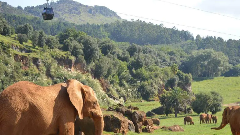 Parque de la Naturaleza de Cab&aacute;rceno, dependiente de Cantur.