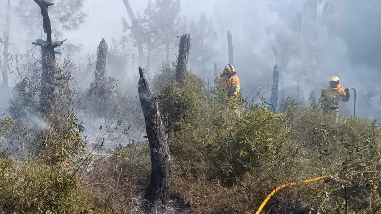 Incendio en los pinares de Liencres.