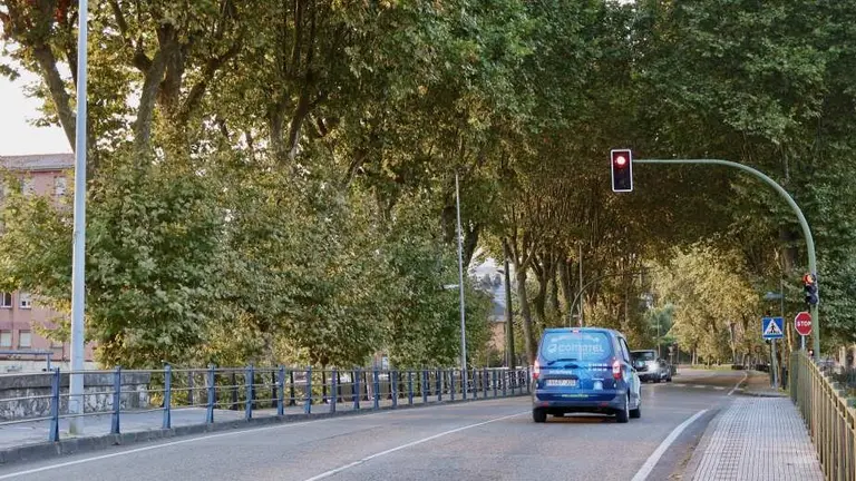 La plaga del tigre afecta al arbolado.