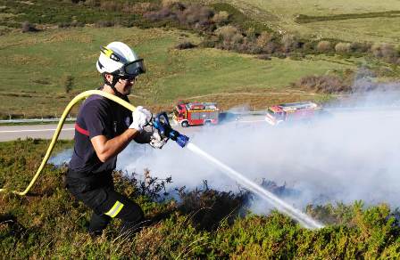 Los Bomberos trabajan en las zonas de vegetación.