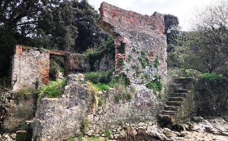 Cs insiste en la conveniencia de proteger el patrimonio.