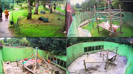 Zoológico sin agua.