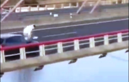 El joven se lanza desde el coche en marcha.