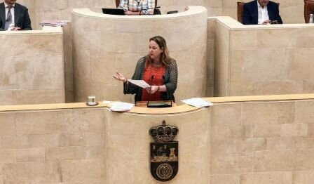La portavoz de Vox en el Parlamento, Leticia Díaz.
