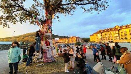 Árbol de San Lázaro.
