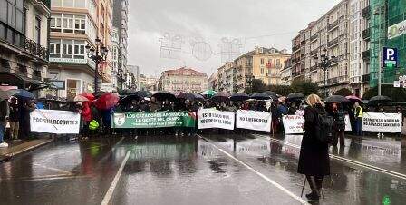 Manifestación de los asistentes por las calles de Santander. Facebook