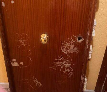 Imagen de una puerta de la vivienda.