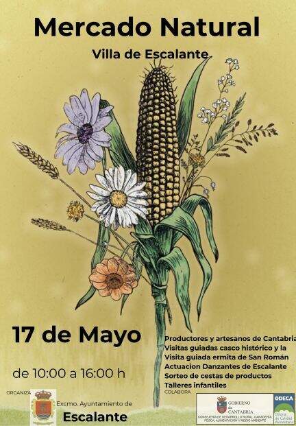Publicidad 30104