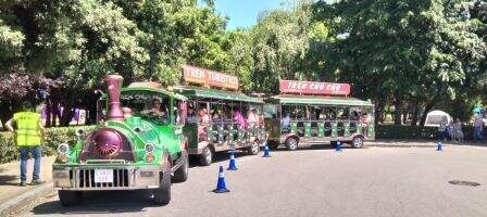 Tren turístico del año pasado.