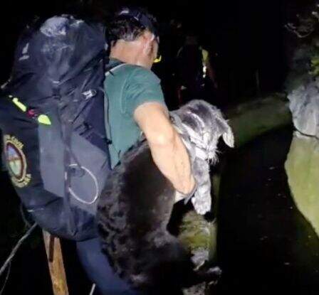 Senderista con el perro.