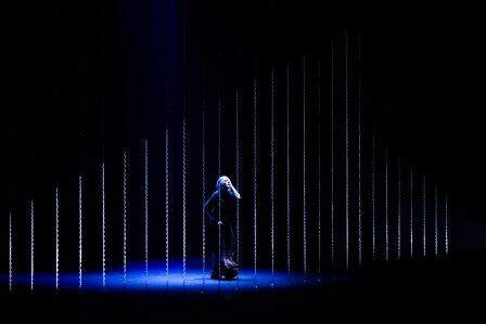 La bailaora sobre el escenario. Yeray Menendez